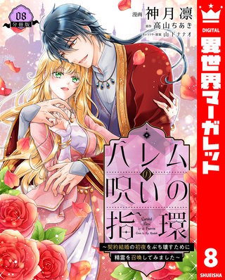 ハレムの呪いの指環～契約結婚の初夜をぶち壊すために精霊を召喚してみました～(8)