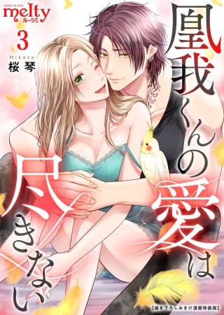 凰我くんの愛は尽きない【描き下ろしおまけ漫画特装版】(3)