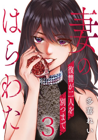 妻のはらわた～復讐が二人を別つまで～(3)