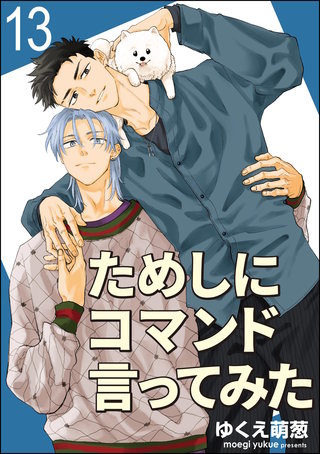 ためしにコマンド言ってみた（分冊版）【第13話】