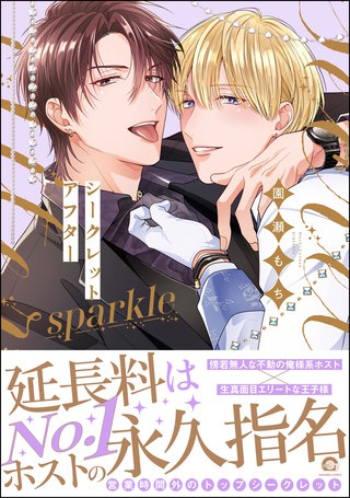 シークレットアフター(2)sparkle【電子限定かきおろし漫画付】