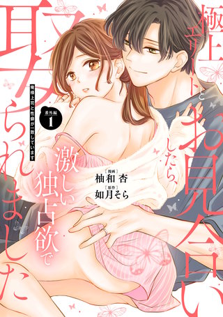 極上エリートとお見合いしたら、激しい独占欲で娶られました　俺様上司と性癖が一致しています(4)