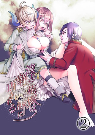 渡りの花嫁は竜の試練に晒される(2)