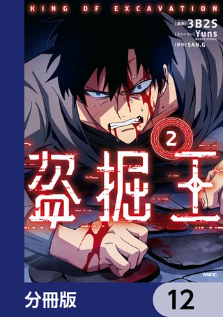 盗掘王【分冊版】　12