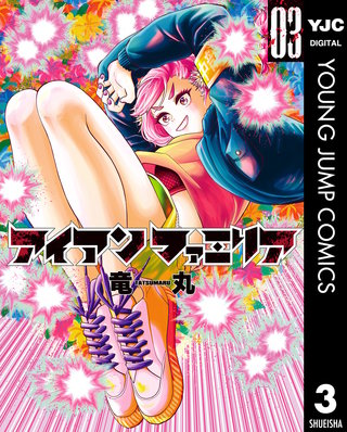 アイアンファミリア(3)