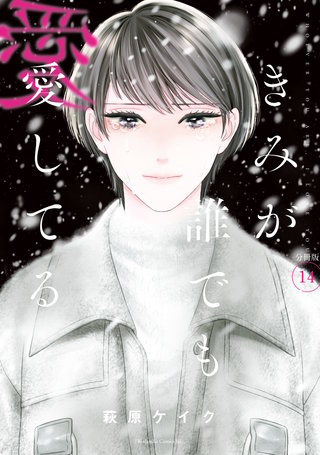 きみが誰でも愛してる 分冊版(14)