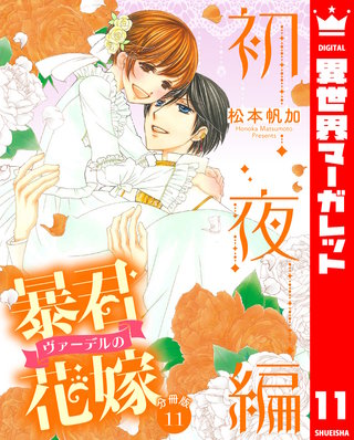 【分冊版】暴君ヴァーデルの花嫁 初夜編(11)