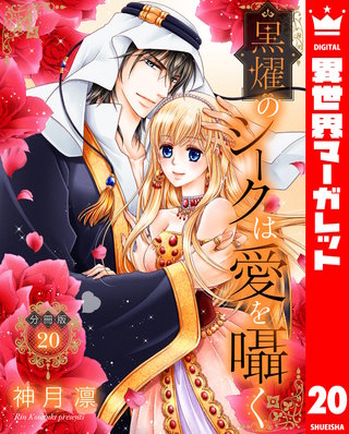 【分冊版】黒燿のシークは愛を囁く(20)