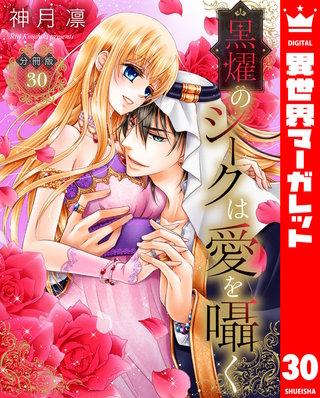 【分冊版】黒燿のシークは愛を囁く(30)