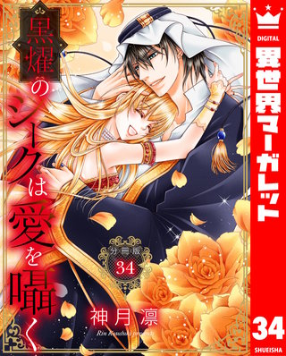 【分冊版】黒燿のシークは愛を囁く(34)