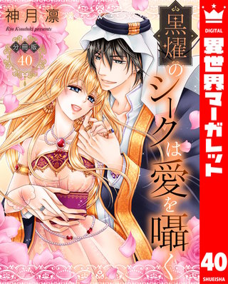 【分冊版】黒燿のシークは愛を囁く(40)