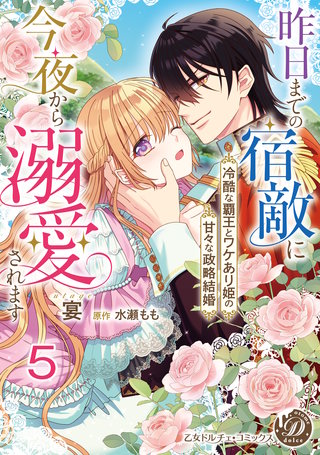 昨日までの宿敵に今夜から溺愛されます~冷酷な覇王とワケあり姫の甘々な政略結婚~【分冊版】5