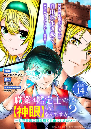 職業は鑑定士ですが【神眼】ってなんですか？　～世界最高の初級職で自由にいきたい～連載版：14