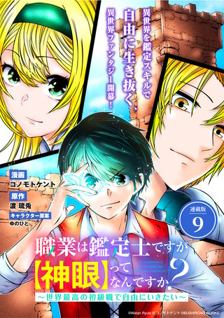 職業は鑑定士ですが【神眼】ってなんですか？　～世界最高の初級職で自由にいきたい～連載版：9