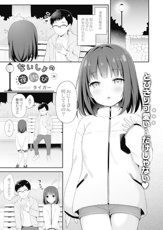 ないしょの遊び