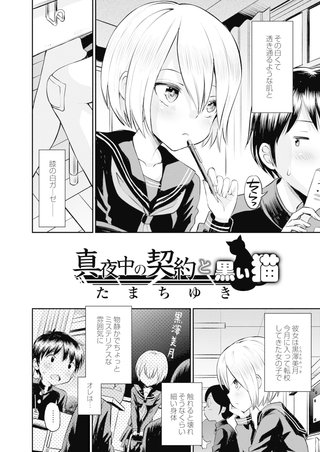真夜中の契約と黒い猫