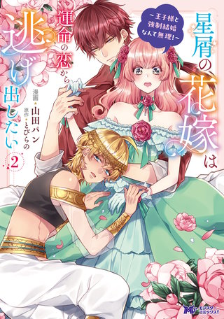 星屑の花嫁は運命の恋から逃げ出したい～王子様と強制結婚なんて無理！～(コミック)(2)