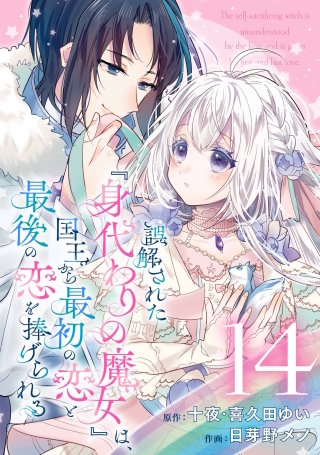 誤解された『身代わりの魔女』は、国王から最初の恋と最後の恋を捧げられる（コミック）【分冊版】 14