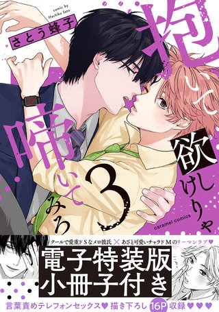 抱いて欲しけりゃ啼いてみろ【単行本版／電子特装版小冊子付き】