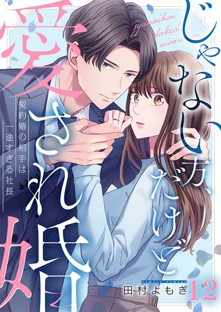 じゃない方、だけど愛され婚～契約婚の相手は一途すぎる社長12