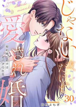 じゃない方、だけど愛され婚～契約婚の相手は一途すぎる社長30