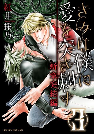 きみは僕に愛を突き刺す 新章完結編(3)