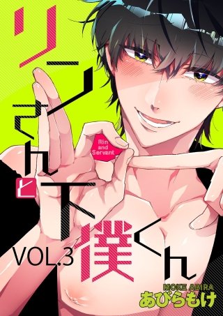 リンさんと下僕くん(3)