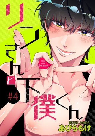 リンさんと下僕くん(4)