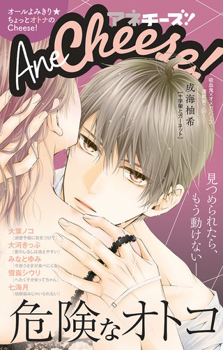 AneCheese! 39号