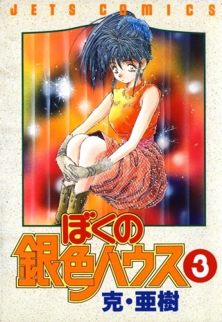 ぼくの銀色ハウス(3)