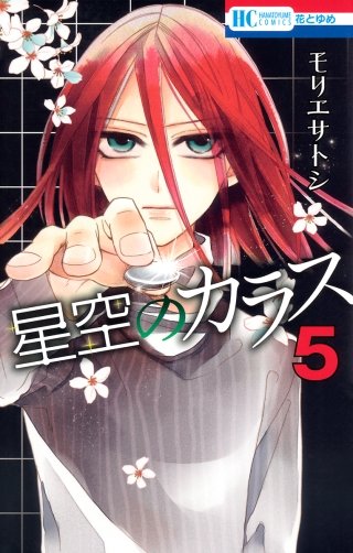 星空のカラス(5)