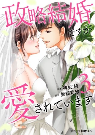 政略結婚ですが愛されています(3)