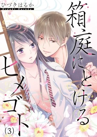 箱庭にとけるヒメゴト～親子なんかじゃない(3)