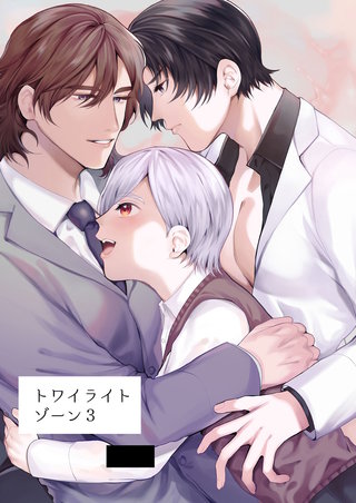 トワイライトゾーン(3)