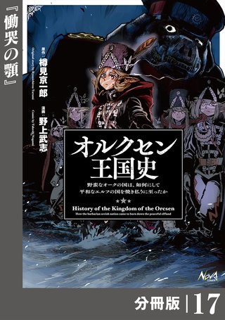 オルクセン王国史～野蛮なオークの国は、如何にして平和なエルフの国を焼き払うに至ったか～【分冊版】（ノヴァコミックス）(17)