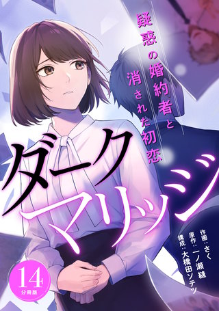 ダークマリッジ～疑惑の婚約者と消された初恋～ 【分冊版】 14