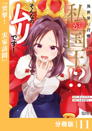 異世界に召喚されて私が国王！？　そんなのムリです！【分冊版】(ANIMAXコミックス)(11)
