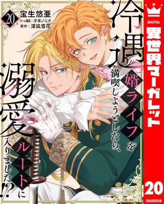 冷遇婿ライフを満喫しようとしたら、溺愛ルートに入りました!? 20