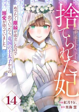 Berry'sFantasy捨てられた妃　めでたく離縁が成立したので出ていったら、竜国の王太子からの溺愛が待っていました(14)