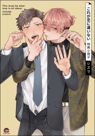 これが恋に違いない