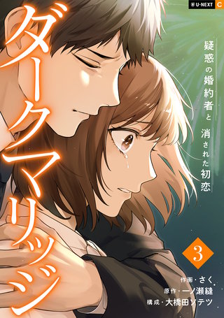 ダークマリッジ～疑惑の婚約者と消された初恋～ 3巻