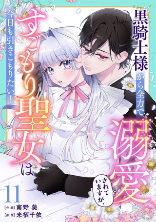 Berry'sFantasy黒騎士様から全力で溺愛されていますが、すごもり聖女は今日も引きこもりたい！(11)