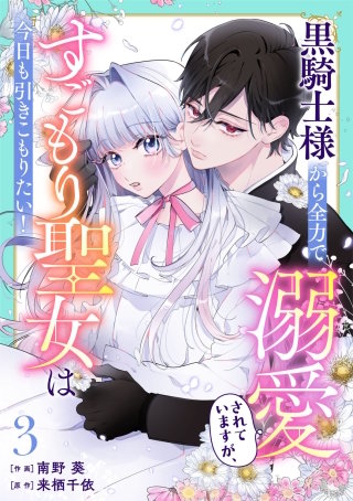 Berry'sFantasy黒騎士様から全力で溺愛されていますが、すごもり聖女は今日も引きこもりたい！(3)