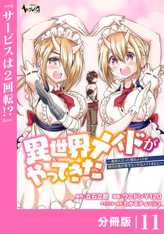 異世界メイドがやってきた～異邦人だった頃のメイドが現代の我が家でエッチなメイドさんに～【分冊版】（ノヴァコミックス）(11)