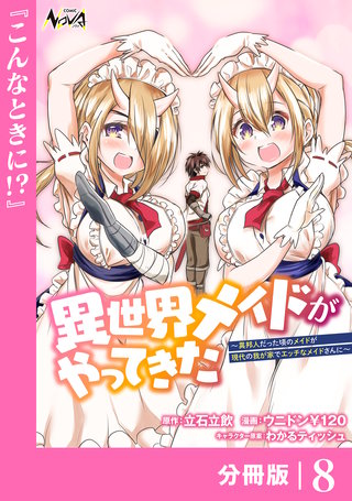 異世界メイドがやってきた～異邦人だった頃のメイドが現代の我が家でエッチなメイドさんに～【分冊版】（ノヴァコミックス）(8)