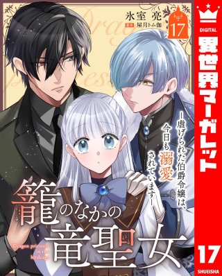 籠のなかの竜聖女 ―虐げられた伯爵令嬢は、今日も溺愛されています― 17