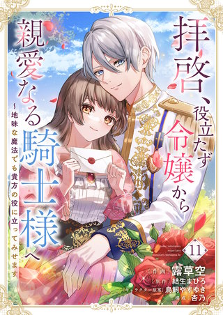 拝啓、役立たず令嬢から親愛なる騎士様へ～地味な魔法でも貴方の役に立ってみせます１１