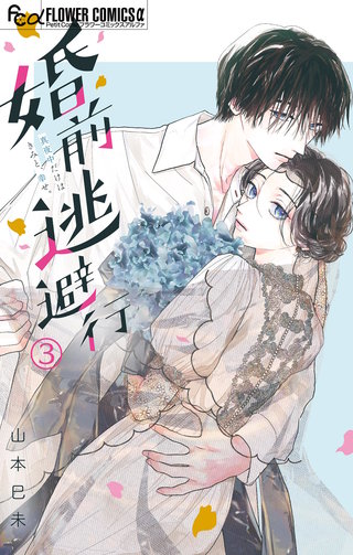 婚前逃避行【マイクロ】(3)