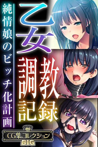 乙女調教記録～純情娘のビッチ化計画～【CG集コレクションBIG】