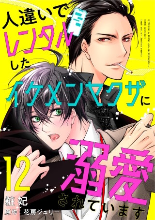 人違いでレンタルしたイケメンヤクザに溺愛されています 12